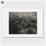 2-11_Alfred-Stieglitz_picture