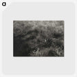 2-11_Alfred-Stieglitz_postcard