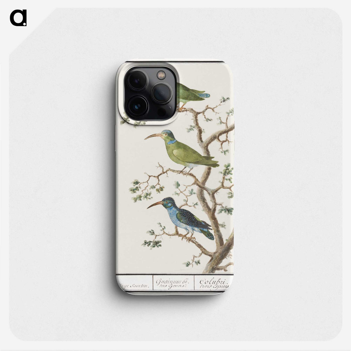 2-11_Anselmus-Boetius-de-Boodt_phone