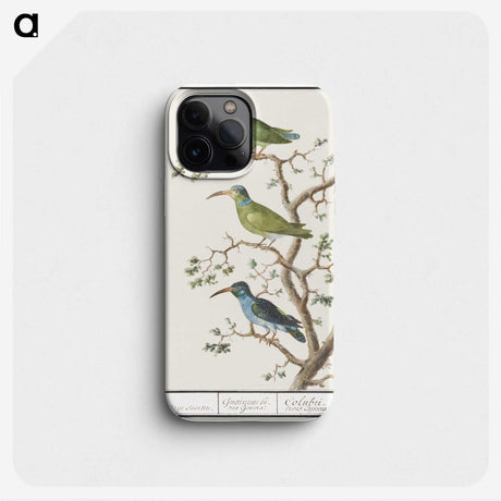 2-11_Anselmus-Boetius-de-Boodt_phone
