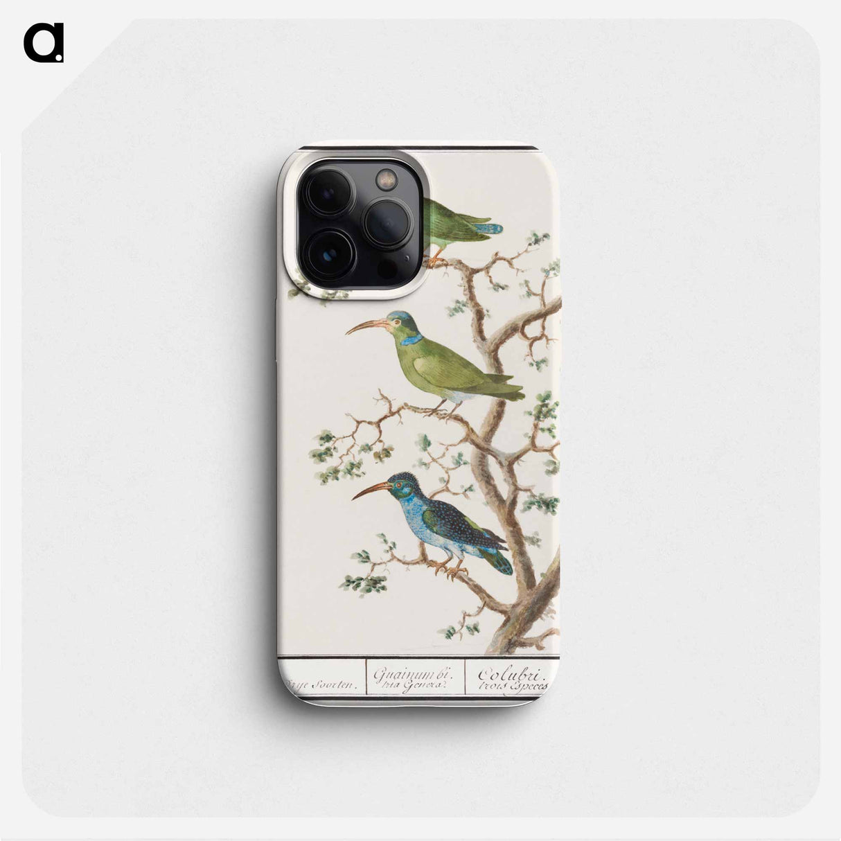 Honeysuckers - アンセルムス ボエティウス デ ブート Phone Case.