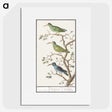 2-11_Anselmus-Boetius-de-Boodt_picture