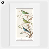 Honeysuckers - アンセルムス ボエティウス デ ブート Poster.