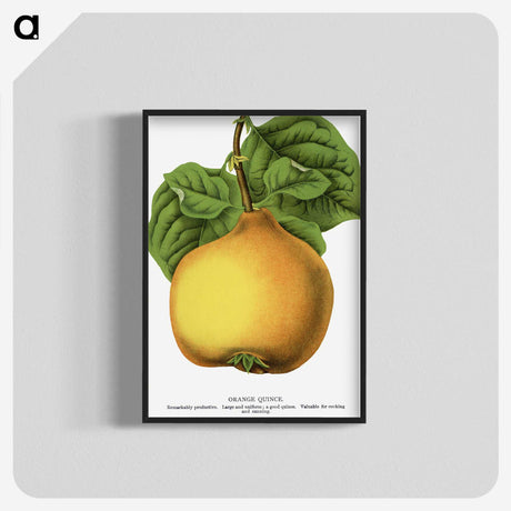 2-11_Botanical-Specimen-Plates_blk-crop