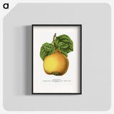 2-11_Botanical-Specimen-Plates_blk