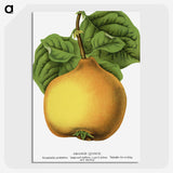 2-11_Botanical-Specimen-Plates_picture-crop