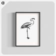 アートポスター-Flamingo from Voyages Dans les Deux Océans Atlantique et Pacifique
 - 大英図書館 Poster.
