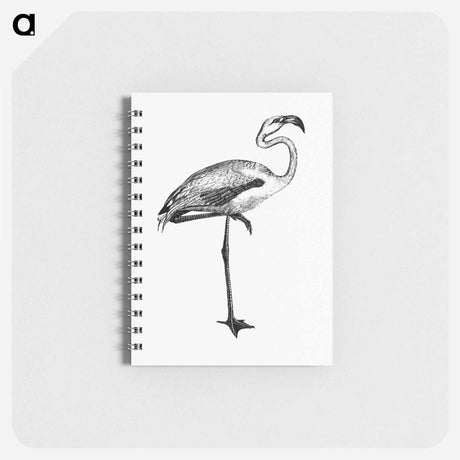 アートメモ帳-Flamingo from Voyages Dans les Deux Océans Atlantique et Pacifique
 - 大英図書館 Memo.