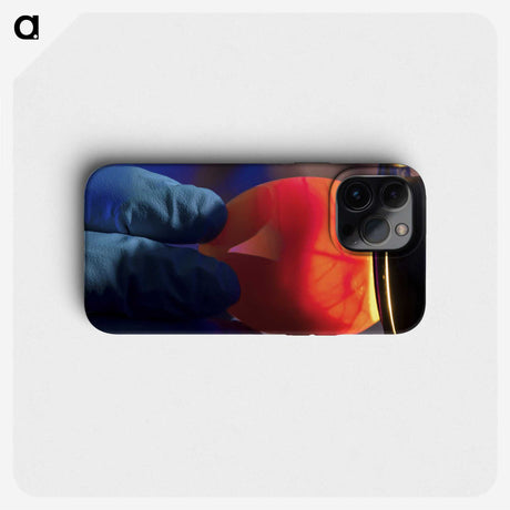 2-11_COVID-19_phone
