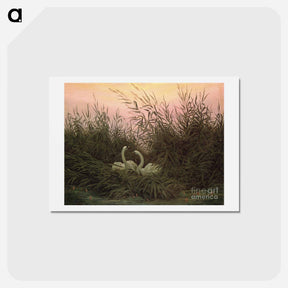 アートポストカード-Swans among the reeds at the first Morgenro - カスパー ダーヴィト フリードリヒ Postcard.