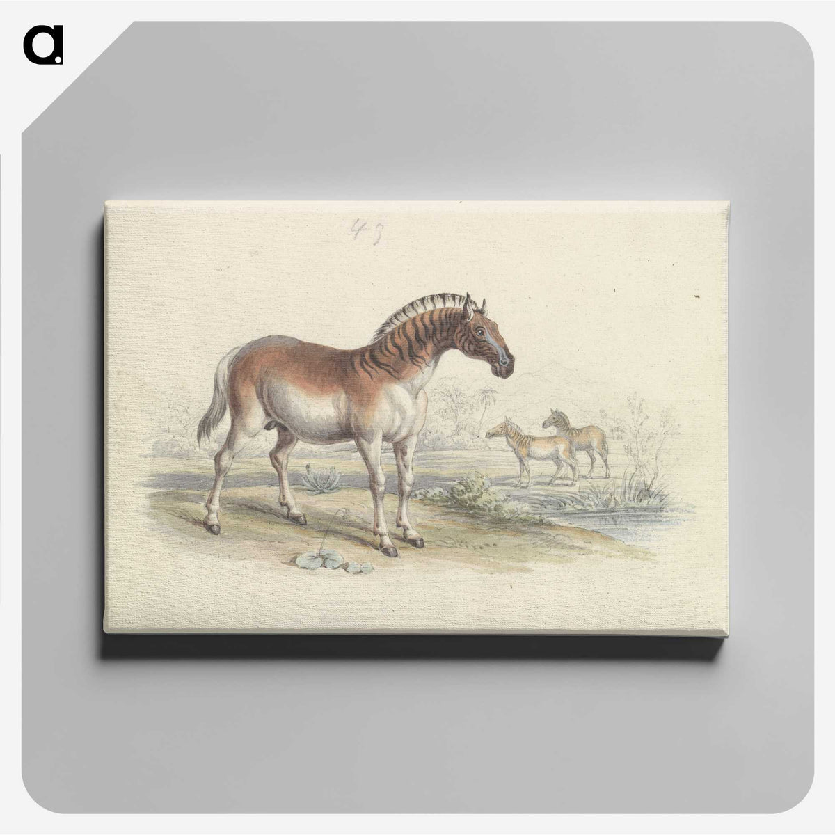 2-11_Charles-Hamilton-Smith_canvas