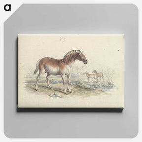 2-11_Charles-Hamilton-Smith_canvas