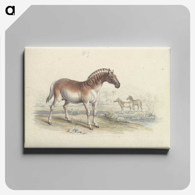 2-11_Charles-Hamilton-Smith_canvas