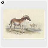 2-11_Charles-Hamilton-Smith_picture-crop