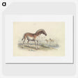 2-11_Charles-Hamilton-Smith_picture