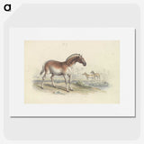 2-11_Charles-Hamilton-Smith_picture