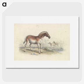 2-11_Charles-Hamilton-Smith_picture