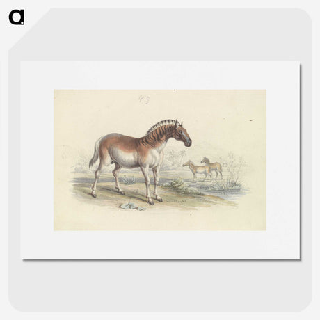 2-11_Charles-Hamilton-Smith_picture