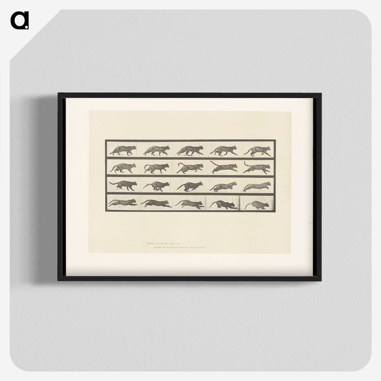 2-11_Eadweard-Muybridge_blk-crop