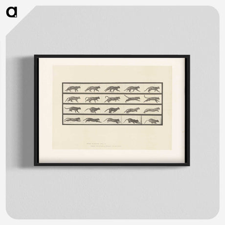 2-11_Eadweard-Muybridge_blk-crop