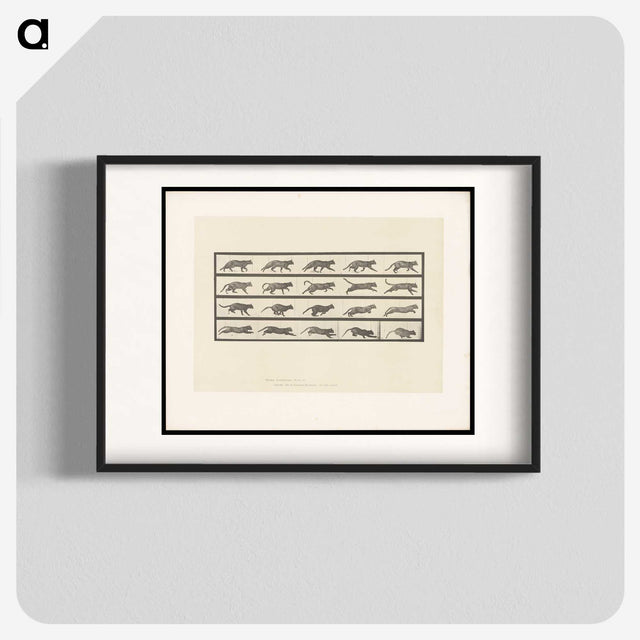 2-11_Eadweard-Muybridge_blk