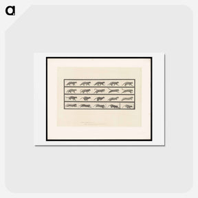 アートポストカード-Running Cat
 - エドワード マイブリッジ Postcard.