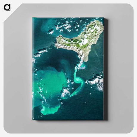 2-11_Earth-from-Above_canvas