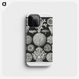 2-11_Ernst-Haeckel_phone