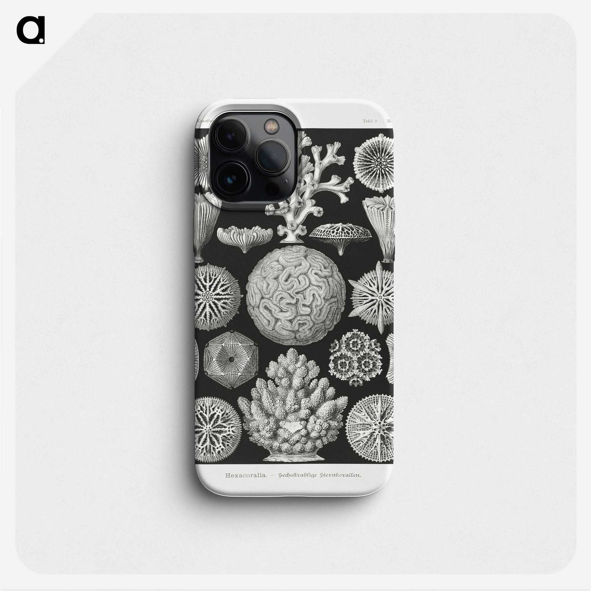 2-11_Ernst-Haeckel_phone