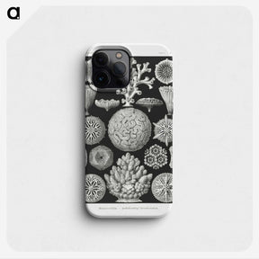 2-11_Ernst-Haeckel_phone