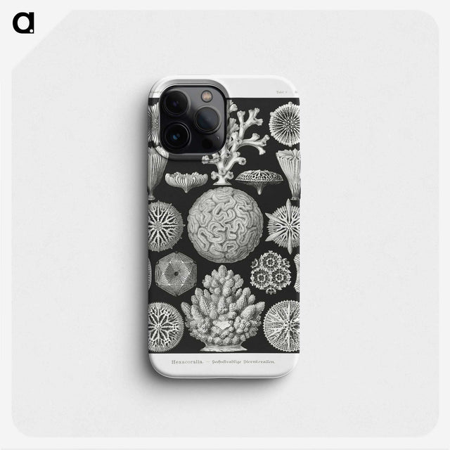 2-11_Ernst-Haeckel_phone