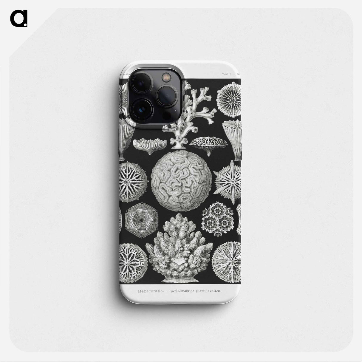 Hexacoralla–Sechsstrahlige Sternkorallen - エルンスト ヘッケル Phone Case.