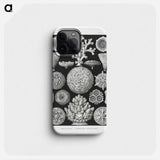 Hexacoralla–Sechsstrahlige Sternkorallen - エルンスト ヘッケル Phone Case.