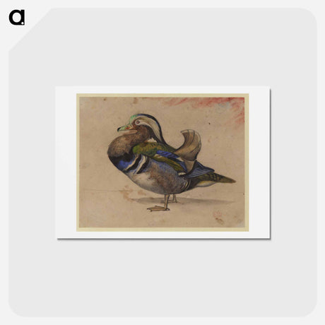 アートポストカード-A Mandarin drake - ウジェーヌ ドラクロワ Postcard.