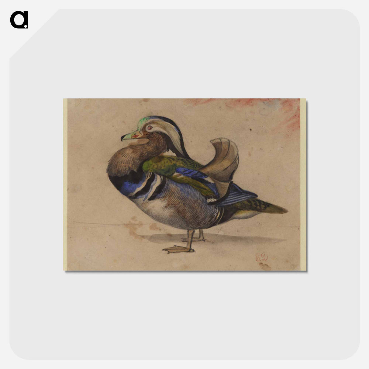 アートポストカード-A Mandarin drake - ウジェーヌ ドラクロワ Postcard.