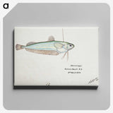 2-11_Frank-Edward-Clarke_canvas