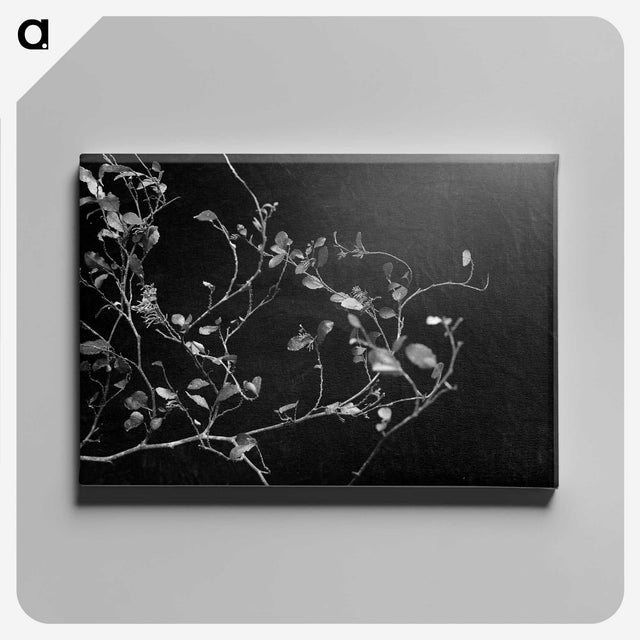 2-11_Frederick-Charles-Brockett_canvas