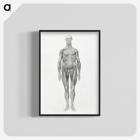 2-11_George-Stubbs_blk-crop