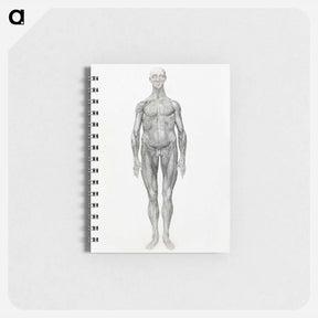 アートメモ帳-Anterior View, Facial Layers Removed
 - ジョージ スタッブス Memo.