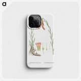 2-11_Histoire-des-Plantes-Grasses_phone
