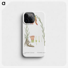 2-11_Histoire-des-Plantes-Grasses_phone