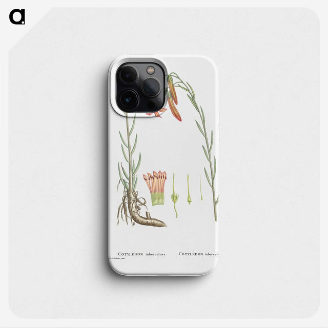 2-11_Histoire-des-Plantes-Grasses_phone