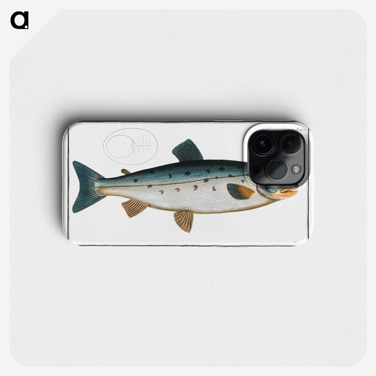 2-11_Ichtyologie-ou-Histoire-naturelle_phone