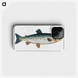 2-11_Ichtyologie-ou-Histoire-naturelle_phone