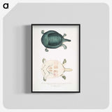 2-11_Indian-Zoology_blk-crop