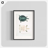 2-11_Indian-Zoology_blk