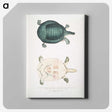 2-11_Indian-Zoology_canvas