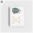 2-11_Indian-Zoology_memo