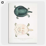 2-11_Indian-Zoology_picture-crop