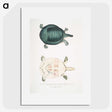 2-11_Indian-Zoology_picture